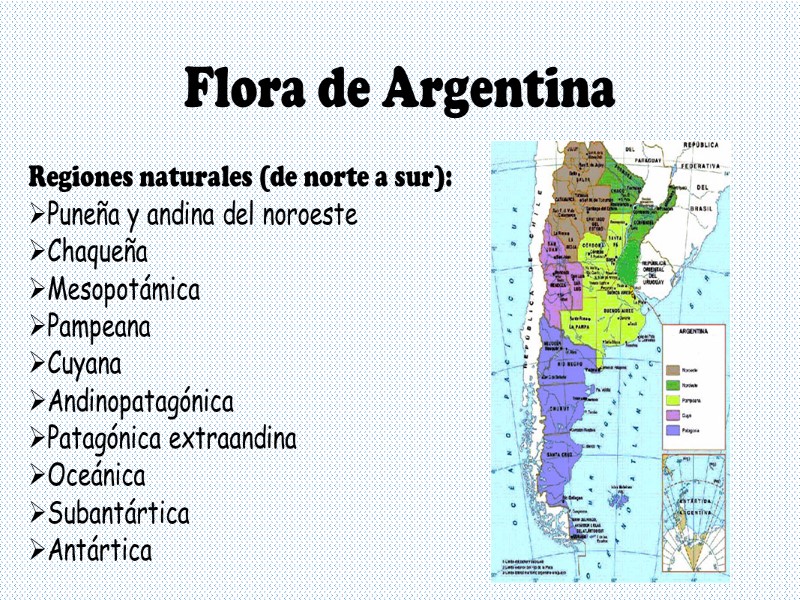 Flora de Argentina Regiones naturales (de norte a sur): Puneña y andina del noroeste